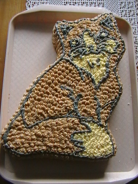 Kočka